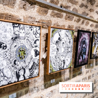 Street-art Madeleine, les photos -  A7C1877