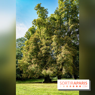 Le désert de Retz, le parc anglo-chinois insolite dans les Yvelines -  A7C2134