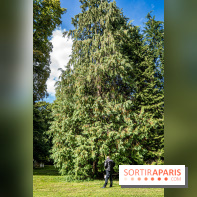 Le désert de Retz, le parc anglo-chinois insolite dans les Yvelines -  A7C2135