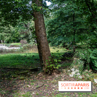 Le désert de Retz, le parc anglo-chinois insolite dans les Yvelines -  A7C2138