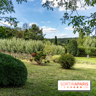 Le désert de Retz, le parc anglo-chinois insolite dans les Yvelines -  A7C2165