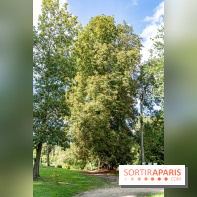 Le désert de Retz, le parc anglo-chinois insolite dans les Yvelines -  A7C2186