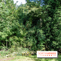 Le désert de Retz, le parc anglo-chinois insolite dans les Yvelines -  A7C2188