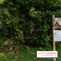 Le désert de Retz, le parc anglo-chinois insolite dans les Yvelines -  A7C2191