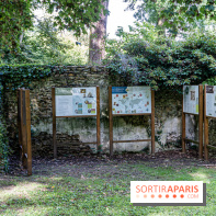 Le désert de Retz, le parc anglo-chinois insolite dans les Yvelines -  A7C2194