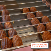 Proost : le coffee shop temple de la madeleine dans le 11e arrondissement - DSC 1177