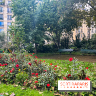 Square Sainte-Odile - nos photos - image00021