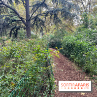 Square Sainte-Odile - nos photos - image00016