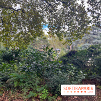 Square Sainte-Odile - nos photos - image00001