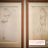 Les fleurs d'Yves Saint Laurent : l'exposition se dévoile en images au musée YSL - IMG20240919102906