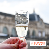 Une croisière privée en amoureux sur la Seine - DSC 2188