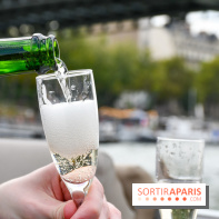 Une croisière privée en amoureux sur la Seine - DSC 2201