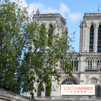 Une croisière privée en amoureux sur la Seine - DSC 2252