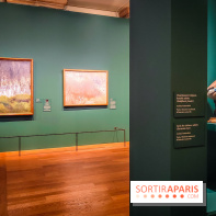 Bruno Liljefors, la Suède sauvage : l'exposition poétique se dévoile en images au Petit Palais - IMG20240930102545