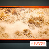 Bruno Liljefors, la Suède sauvage : l'exposition poétique se dévoile en images au Petit Palais - IMG20240930102024