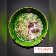 Bruno Liljefors, la Suède sauvage : l'exposition poétique se dévoile en images au Petit Palais - IMG20240930100030