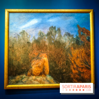 Bruno Liljefors, la Suède sauvage : l'exposition poétique se dévoile en images au Petit Palais - IMG20240930101440