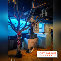 Zombis, la mort n'est pas une fin : l'exposition du musée du Quai Branly - IMG20241007110232