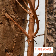 Arte Povera, l'exposition à la Bourse de Commerce, nos photos - IMG 6243