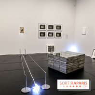 Arte Povera, l'exposition à la Bourse de Commerce, nos photos - IMG 6257