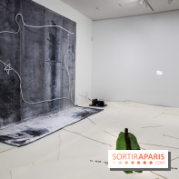 Arte Povera, l'exposition à la Bourse de Commerce, nos photos - IMG 6335