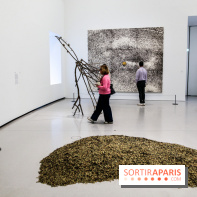 Arte Povera, l'exposition à la Bourse de Commerce, nos photos - IMG 6343