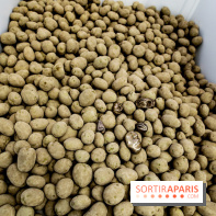 Arte Povera, l'exposition à la Bourse de Commerce, nos photos - IMG 6346