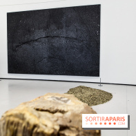 Arte Povera, l'exposition à la Bourse de Commerce, nos photos - IMG 6347