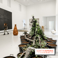 Arte Povera, l'exposition à la Bourse de Commerce, nos photos - IMG 6352