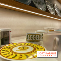 Institut Bernardaud - porcelaine