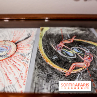 Ylva Snöfrid, exposition Cosmos et Vanitas à l'Institut suédois, nos photos - IMG 6369