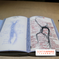 Ylva Snöfrid, exposition Cosmos et Vanitas à l'Institut suédois, nos photos - IMG 6373