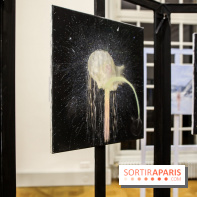 Ylva Snöfrid, exposition Cosmos et Vanitas à l'Institut suédois, nos photos - IMG 6406