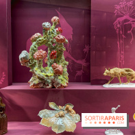 Merveilles - Sèvres - IMG 5115