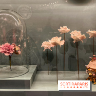 Merveilles - Sèvres - IMG 5162