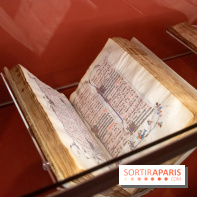 Figures du fou au musée du Louvre : l'exposition loufoque à découvrir - DSC 1328