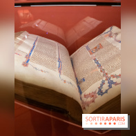 Figures du fou au musée du Louvre : l'exposition loufoque à découvrir - DSC 1329