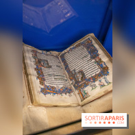 Figures du fou au musée du Louvre : l'exposition loufoque à découvrir - DSC 1335