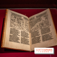 Figures du fou au musée du Louvre : l'exposition loufoque à découvrir - DSC 1362