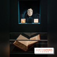 Figures du fou au musée du Louvre : l'exposition loufoque à découvrir - DSC 1370