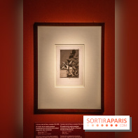 Figures du fou au musée du Louvre : l'exposition loufoque à découvrir - DSC 1411