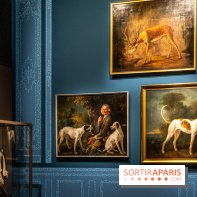 Les photos de l'exposition Oudry, peinte de courre au Château de Fontainebleau