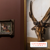 Les photos de l'exposition Oudry, peinte de courre au Château de Fontainebleau