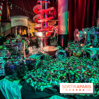 Halloween au Parc Astérix 2024 : Peur sur le Parc et ses nocturnes - IMG 3768