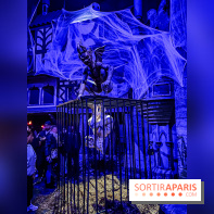 Halloween au Parc Astérix 2024 : Peur sur le Parc et ses nocturnes - IMG 3831