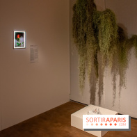 Exposition Soft Skills de Mohamad Abdouni à Lafayette Anticipations - DSC 1545