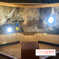 La Grotte Chauvet à la Cité des Sciences, nos photos  - image00014