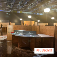 La Grotte Chauvet à la Cité des Sciences, nos photos  - image00016