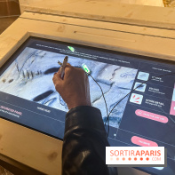 La Grotte Chauvet à la Cité des Sciences, nos photos  - image00009