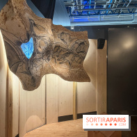 La Grotte Chauvet à la Cité des Sciences, nos photos  - image00007